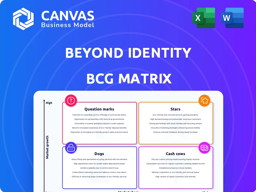 BEYOND IDENTITY BCG MATRIX TEMPLATE RESEARCH