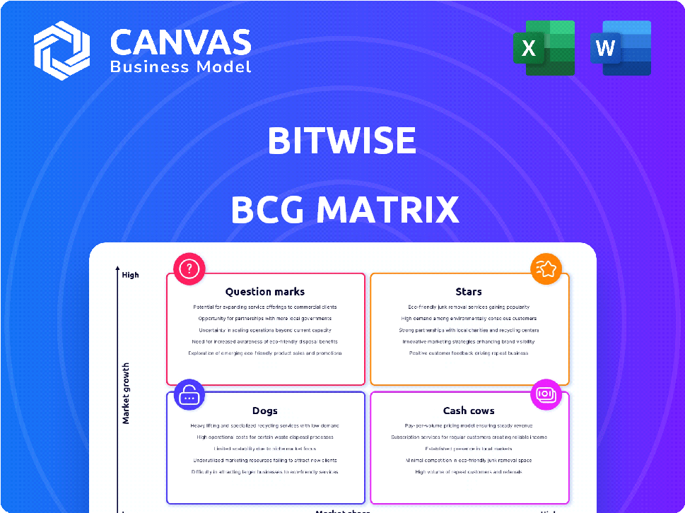 BITWISE BCG MATRIX TEMPLATE RESEARCH