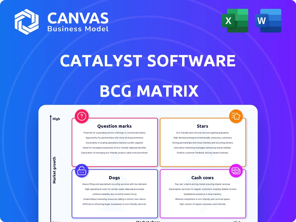 CATALYST SOFTWARE BCG MATRIX TEMPLATE RESEARCH
