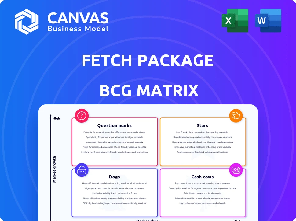 FETCH PACKAGE BCG MATRIX TEMPLATE RESEARCH