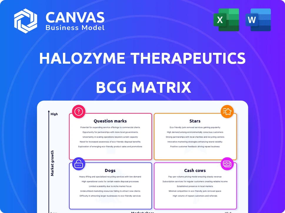 HALOZYME THERAPEUTICS BCG MATRIX TEMPLATE RESEARCH