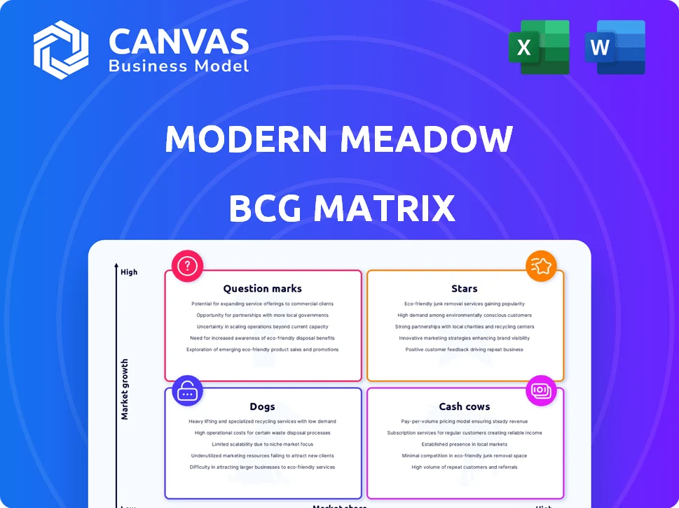 MODERN MEADOW BCG MATRIX TEMPLATE RESEARCH