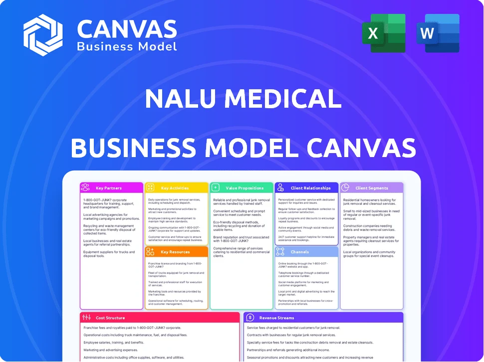 NALU MEDICAL BUSINESS MODEL CANVAS TEMPLATE RESEARCH