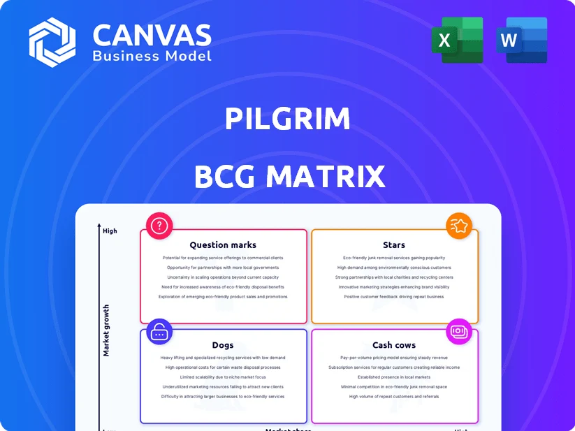 PILGRIM BCG MATRIX TEMPLATE RESEARCH