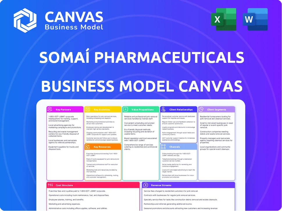 SOMAÍ PHARMACEUTICALS BUSINESS MODEL CANVAS TEMPLATE RESEARCH