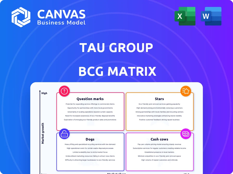 TAU GROUP BCG MATRIX TEMPLATE RESEARCH
