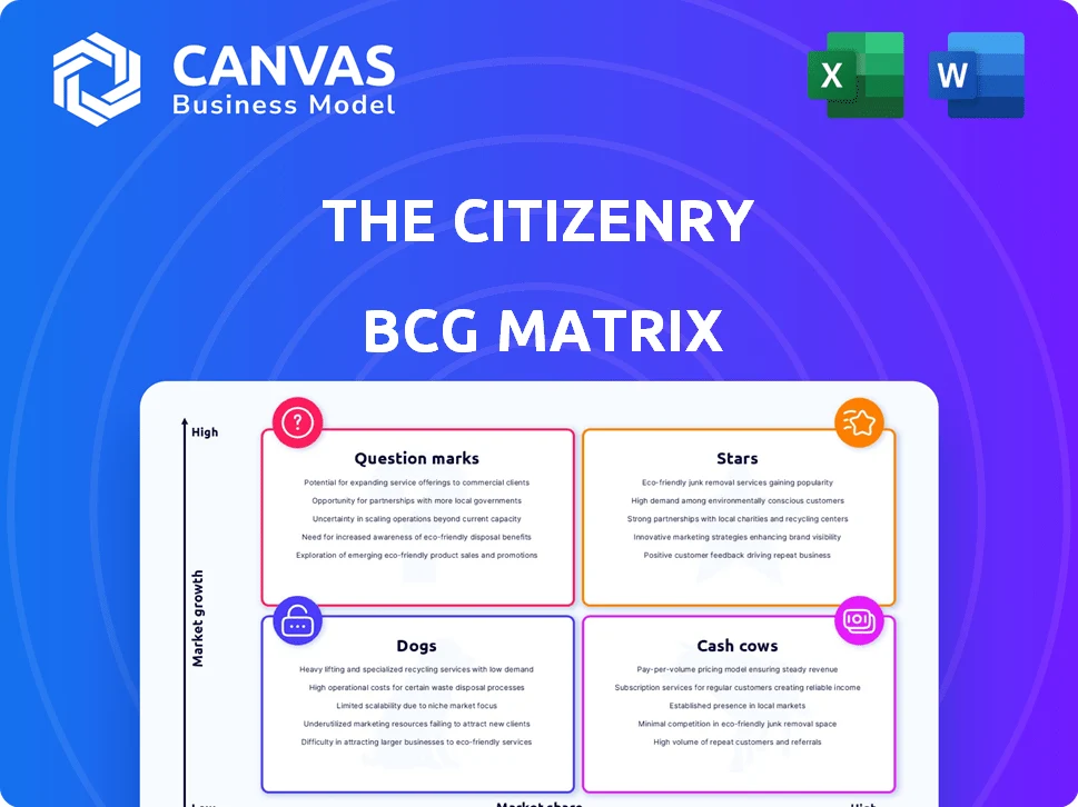 THE CITIZENRY BCG MATRIX TEMPLATE RESEARCH