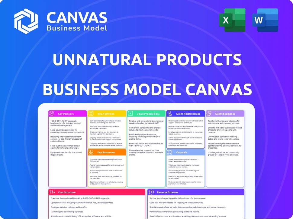 UNNATURAL PRODUCTS BUSINESS MODEL CANVAS TEMPLATE RESEARCH